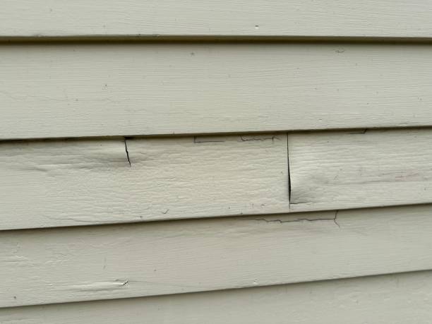 Best Residential Vinyl Siding Installation  in Tipton, MO